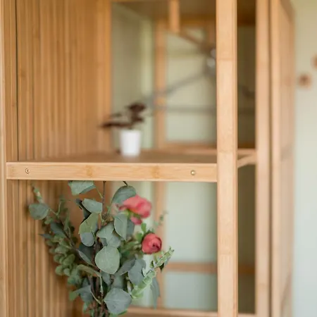 Oasis - Quiet, Cozy & Convenient * Timişoara